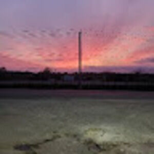 Meet your Posher, Norma